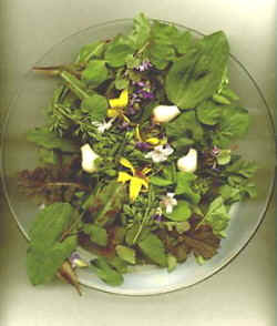 wild greens and flowers in salad
