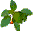 jewelweed bullet gif